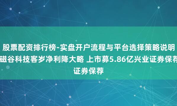 股票配资排行榜-实盘开户流程与平台选择策略说明 磁谷科技客岁净利降大略 上市募5.86亿兴业证券保荐